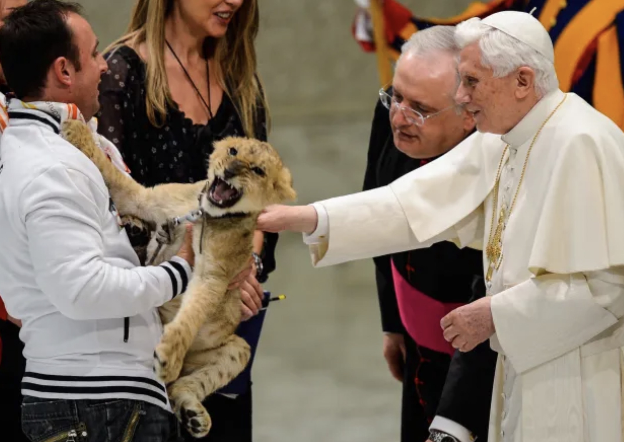 Pope Benedict XVI meeting a lion 